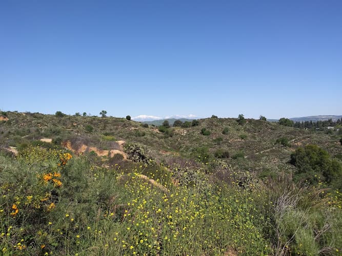 Dog walker Nora Kuttner Recreational Trail Fullerton