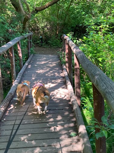 Dog walker Norman & Nellie Dog Park Yakima