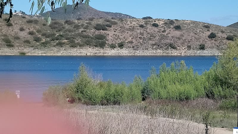 Dog walker North Shore Lake Hodges Trailhead Escondido