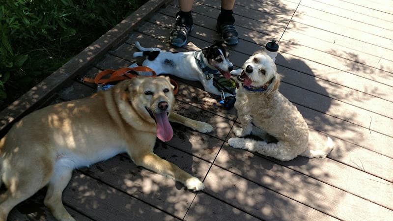 Dog walker Oak Riparian Park Oceanside