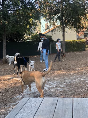 Dog walker Ohlone Dog Park Berkeley