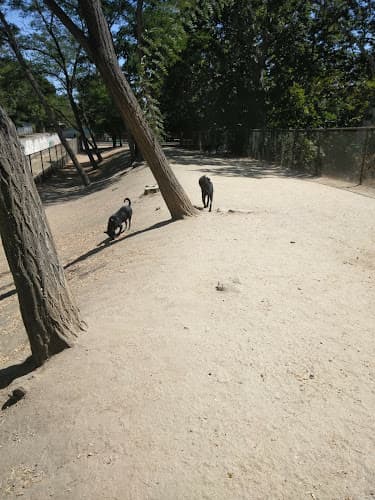 Dog walker Old Creek Dog Park of Cherryland Hayward