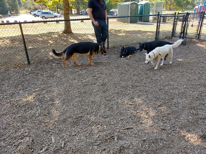 Dog walker Orchard Heights Park Salem