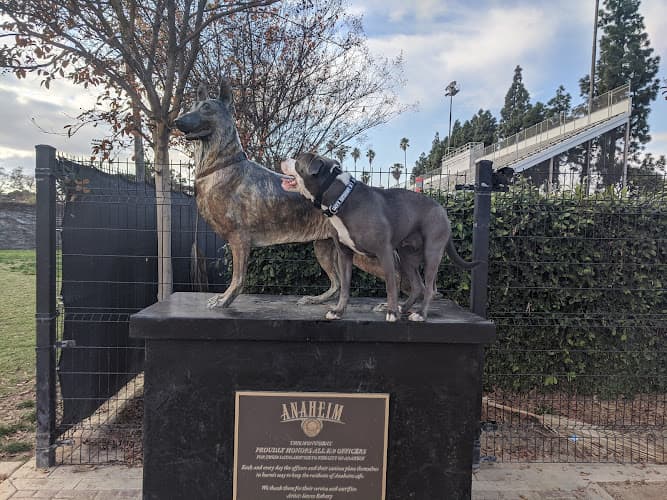 Dog walker Paws and Claws Veterinary Hospital Tracy