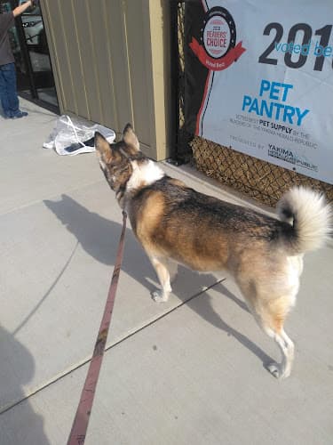 Dog walker PET PANTRY TERRACE HEIGHTS Yakima