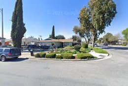 Dog walker Pet Sitting n More San Jose