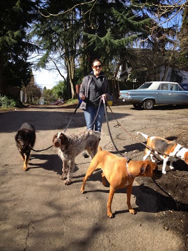 Dog walker Petlandia Pet Care Portland