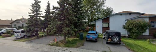 Dog walker Petlover Petsitting Anchorage