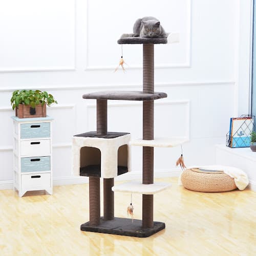 Dog walker PetPals Group, Inc. Ontario