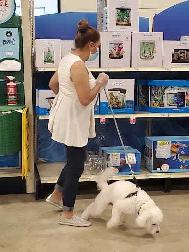 Dog walker PetSmart Santa Ana