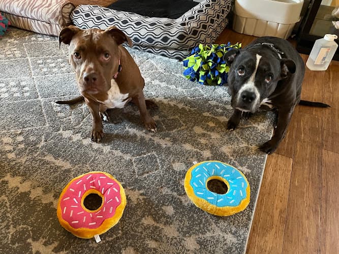 Dog walker Puppernickel Hillsboro