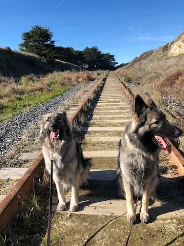 Dog walker Red Rover Pet Resort Fremont
