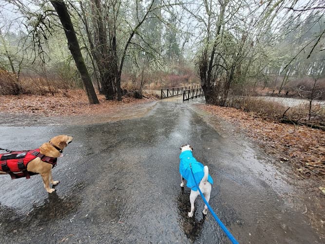 Dog walker Rood Bridge Park Hillsboro