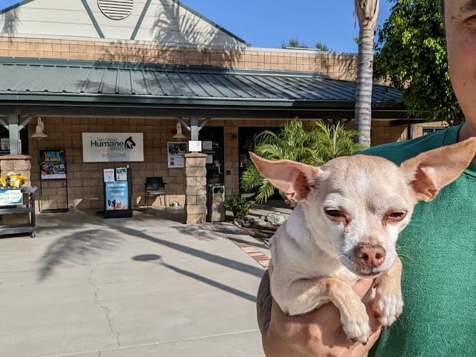 Dog walker San Diego Humane Society's Escondido Campus Escondido