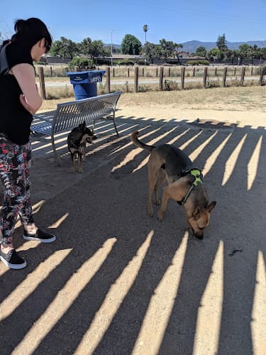 Dog walker Seal Point Harbor Dog Park San Mateo