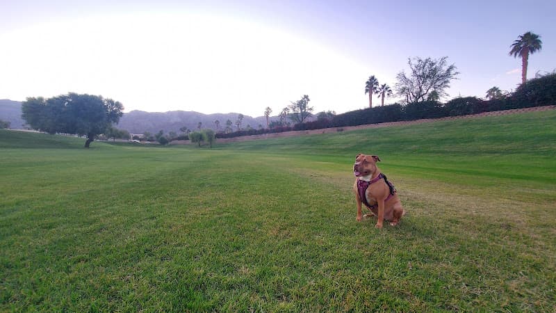 Dog walker Seasons Dog Park Indio