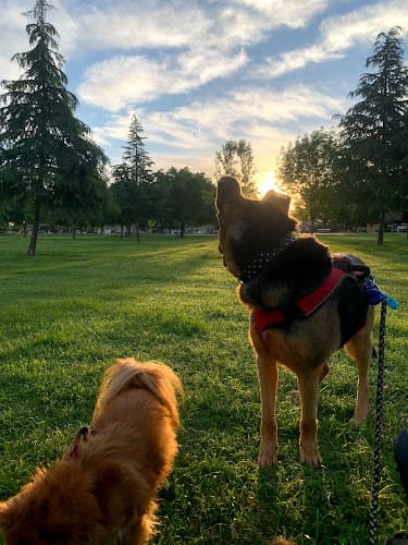 Dog walker Seasons Dog Park (small dogs only) Bakersfield