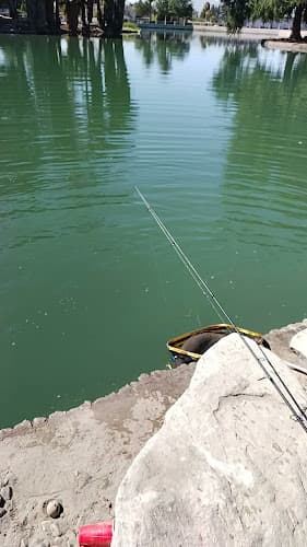Dog walker Seccombe Lake Recreation Area San Bernardino