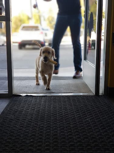 Dog walker Self Serve Pet Spa Bakersfield