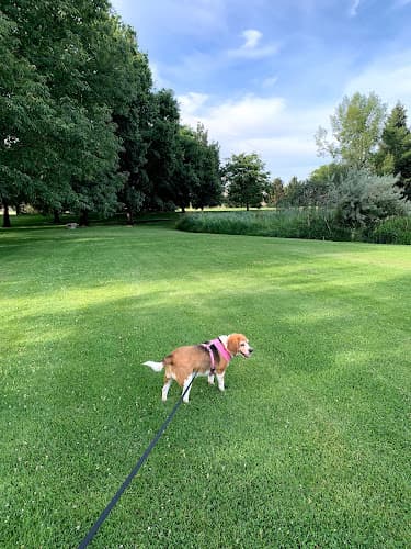 Dog walker Sherman Park Yakima
