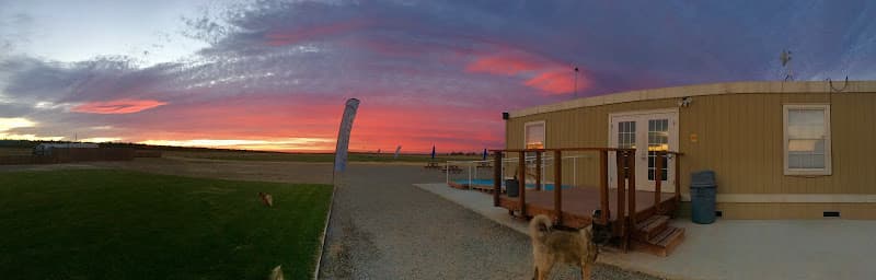 Dog walker Skydive California Tracy