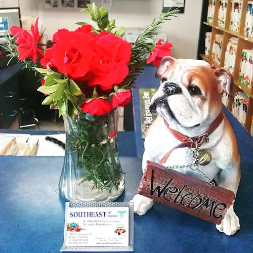 Dog walker Southeast Pet Hospital Norwalk