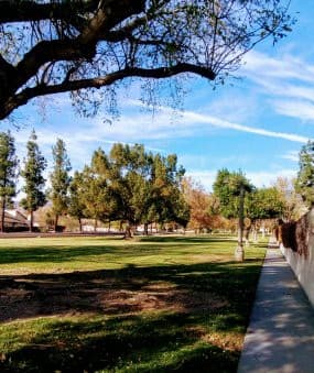 Dog walker Sterling Park San Bernardino