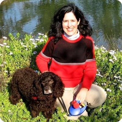 Dog walker Summerhill Pet-Sitting Service Hayward