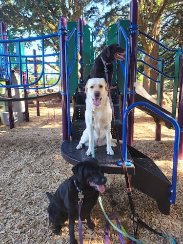 Dog walker Sumpter City Park Salem