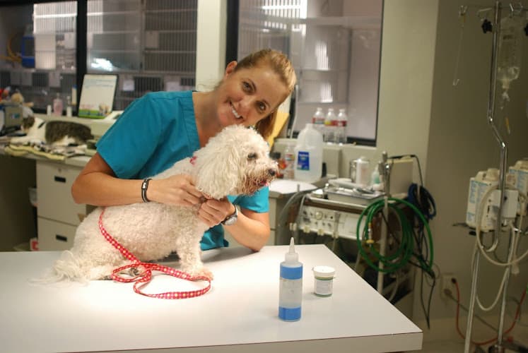 Dog walker Sunnycrest Animal Care Center Fullerton