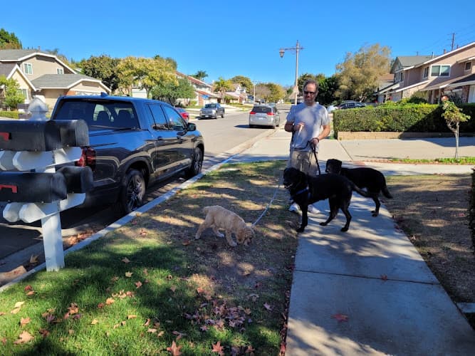 Dog walker Tails A Wag Inn Anaheim