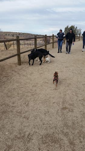 Dog walker Tejon Park Palmdale