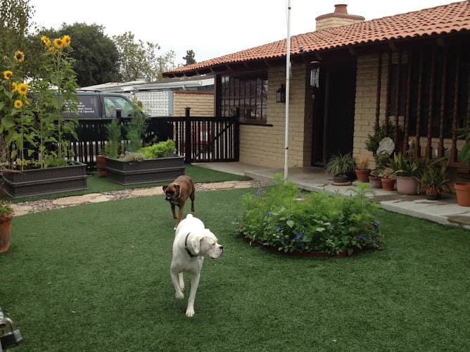 Dog walker The Dog Park Inn Santa Ana
