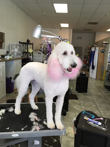 Dog walker The Pampered Pet Indio