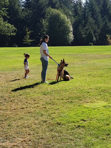 Dog walker Turner Creek Park Hillsboro