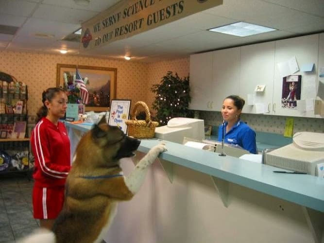 Dog walker VCA Kennel Club Resort & Spa Torrance