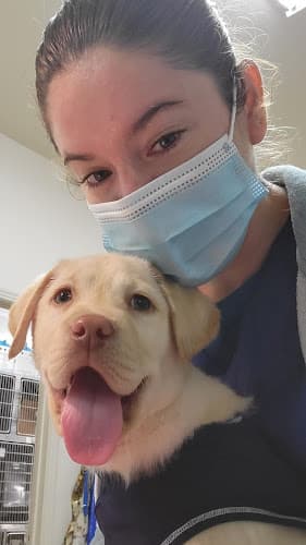 Dog walker VCA Old River Animal Hospital Tracy