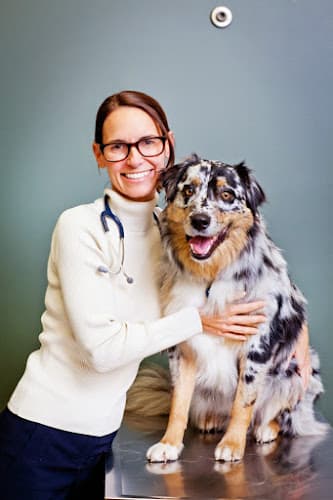 Dog walker Veterinary Specialty Hospital - North County San Marcos