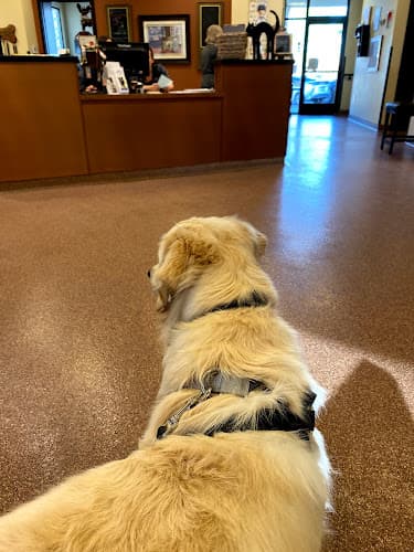 Dog walker Village Park Animal Hospital Indio