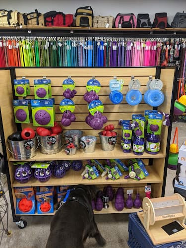 Dog walker Wags! Dog Emporium Eugene