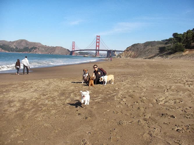 Dog walker Walk This Way SF San Francisco