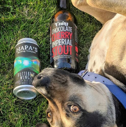 Dog walker West Covina Liquor West Covina