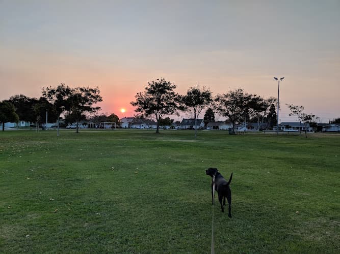 Dog walker Westgrove Park Garden Grove