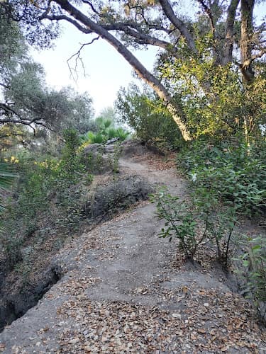 Dog walker Wilderness Glen Mission Viejo