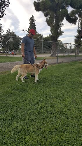 Dog walker Wilson Park Bakersfield