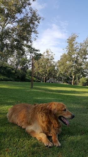 Dog walker Woodgrove Park West Covina