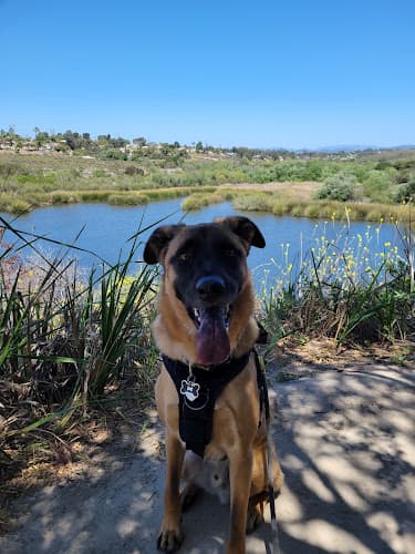 Dog walker Woodland Park San Marcos