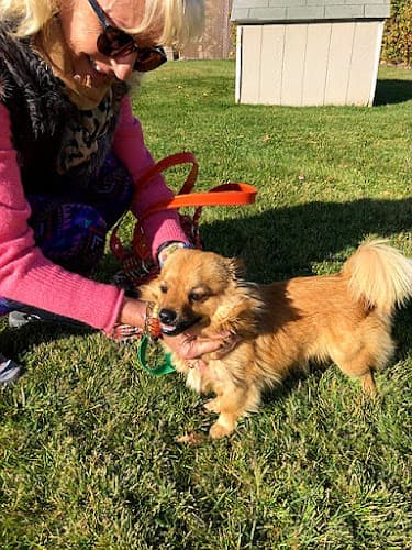 Dog walker Yakima Humane Society Yakima