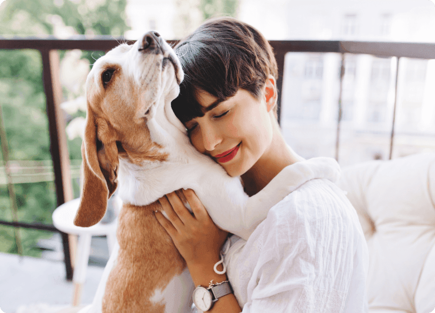 Pethotel Deals For you and For your pets
