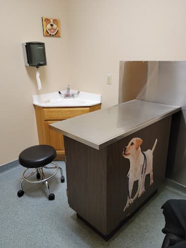 Pet boarding service 101 Pet Vet Ventura